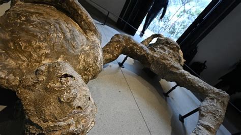 Vesuvius killed people of Pompeii in 15 minutes, study .